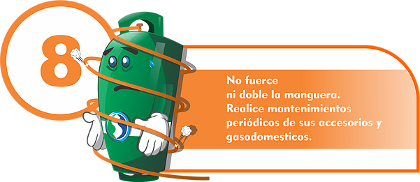 Recomendación de seguridad GLP 8
